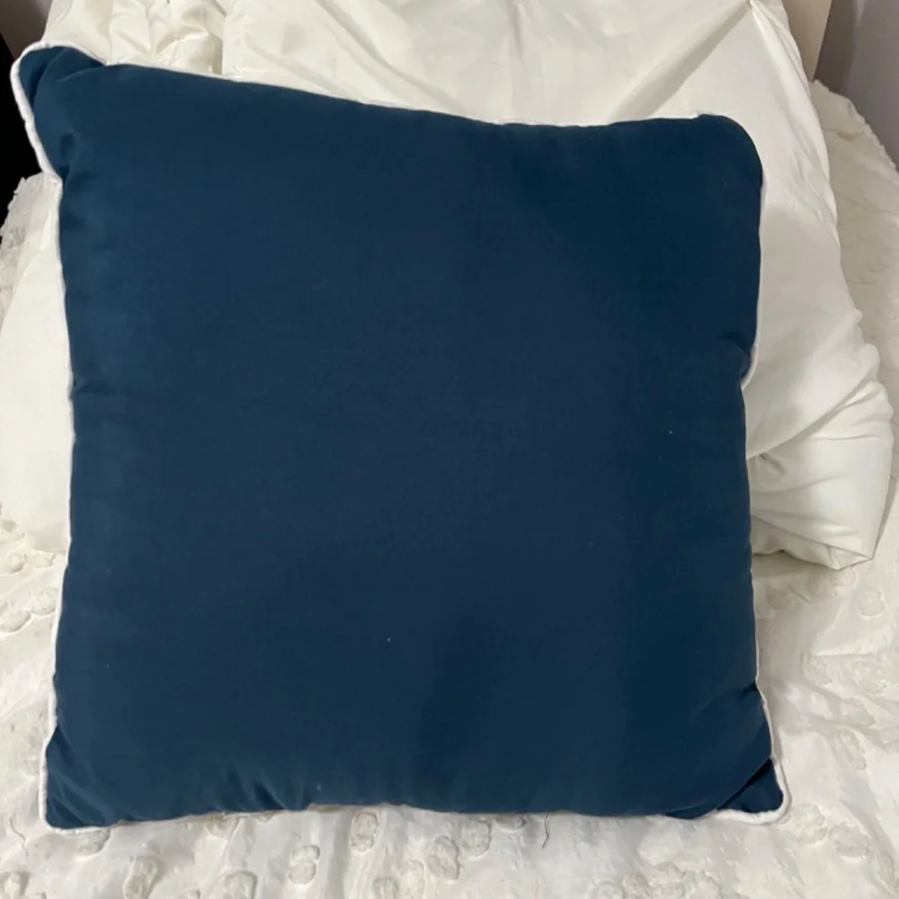 Set of 2 throw pillows.